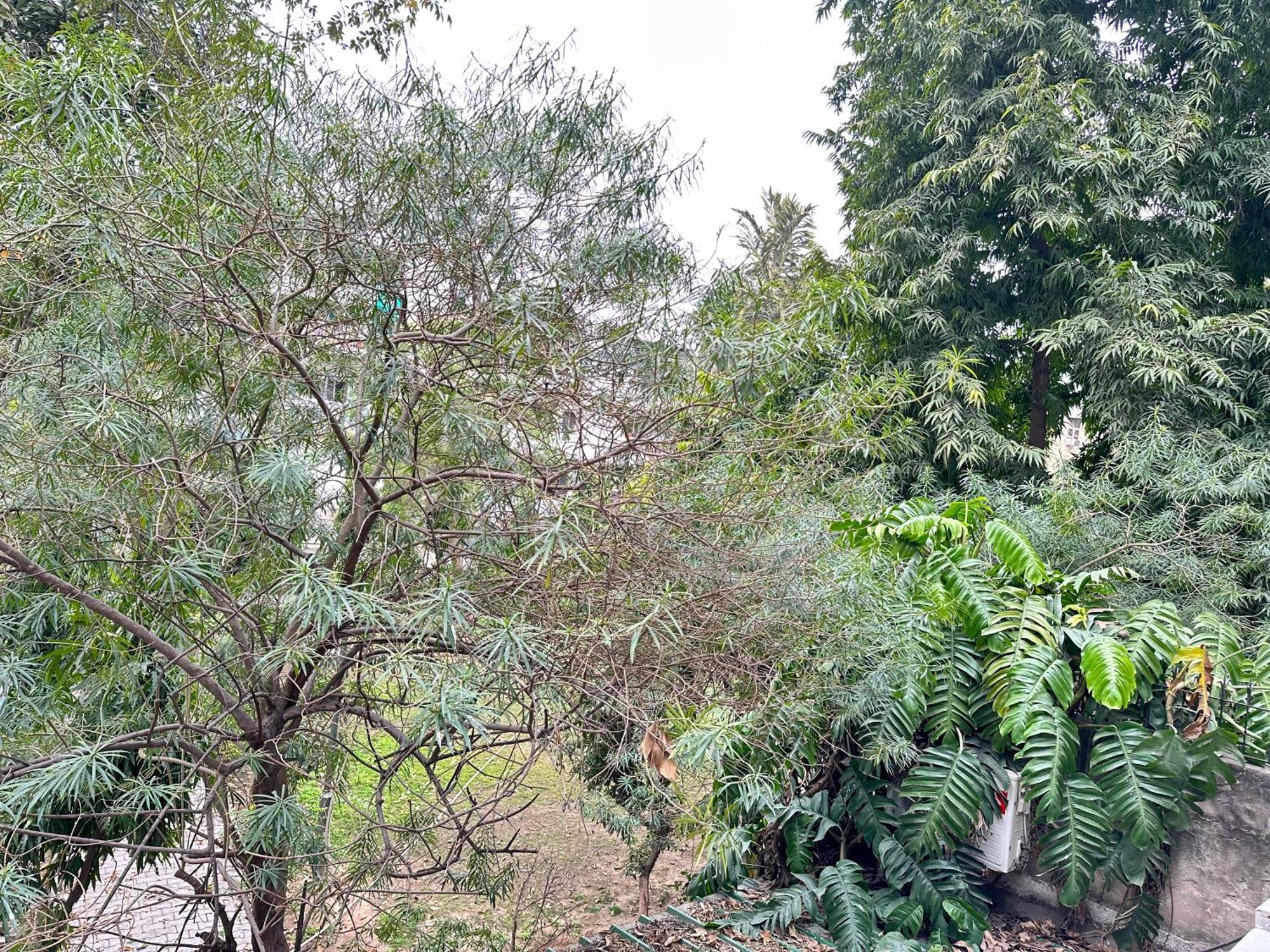 Grove Residency Hauz Khas New Delhi Couple Friendly Hotel Luaran gambar
